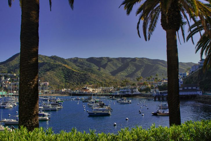 What to do in Catalina Island?