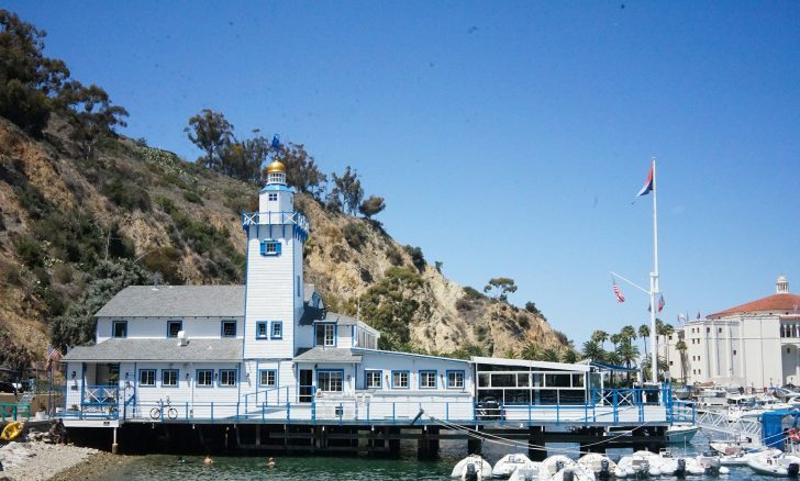 What to do in Catalina Island?